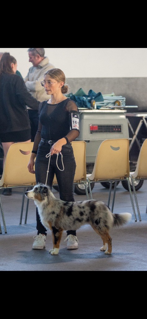 Aria du mas du grand sauvage